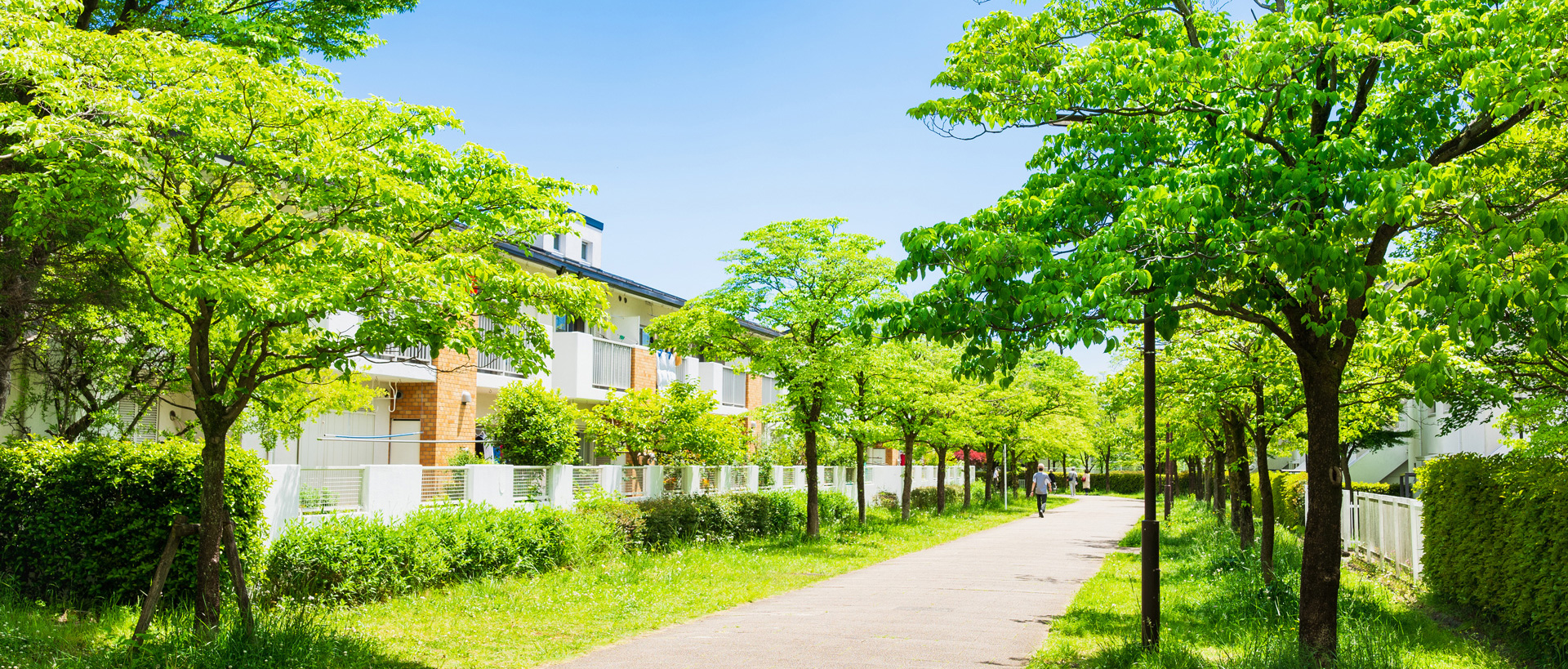 メインビジュアル