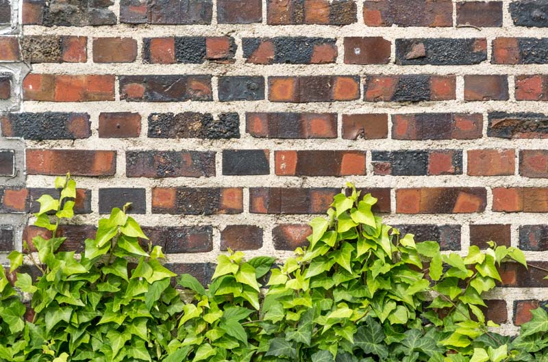 外壁・サイディング